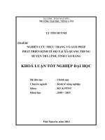 Nghiên cứu thực trạng và giải pháp phát triển kinh tế hộ tại xã Quang Trung – huyện Trà Lĩnh, tỉnh Cao Bằng.