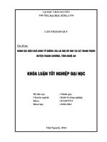 Đánh giá hiệu quả kinh tế giống lúa lai Nhị ưu 986 tại xã Thanh Thịnh, huyện Thanh Chương, tỉnh Nghệ An.