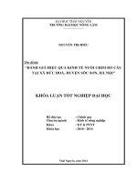 Đánh giá hiệu quả kinh tế nuôi chim bồ câu tại xã Đức Hòa, huyện Sóc Sơn, Hà Nội.