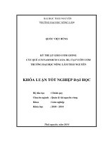 Kỹ thuật gieo ươm giống cây Quế (Cinnamomum casia. BL) tại Vườn ươm Trường Đại học Nông lâm Thái Nguyên.