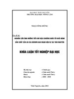 Nghiên cứu ảnh hưởng tiểu khí hậu chuồng nuôi tới khả năng sản xuất của gà Isa brown giai đoạn hậu bị tại Thái Nguyên.