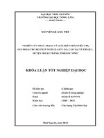 Nghiên cứu thực trạng và giải pháp nhằm tiêu thụ sản phẩm cho hộ chăn nuôi gia súc gia cầm tại xã Trí Quả, huyện Thuận Thành, tỉnh Bắc Ninh.