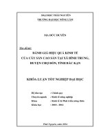 Đánh giá hiệu quả kinh tế của cây sắn cao sản tại xã Bình Trung, huyện Chợ Đồn, tỉnh Bắc Kạn.