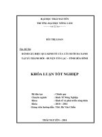Đánh giá hiệu quả kinh tế của cây bưởi Da Xanh tại xã Thanh Hối – huyện Tân Lạc – Tỉnh Hòa Bình.