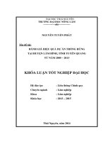 Đánh giá hiệu quả Dự án trồng rừng tại huyện Lâm Bình - tỉnh Tuyên Quang từ năm 2005 - 2013.