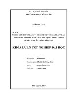 Nghiên cứu thực trạng và đề xuất một số giải pháp nhằm phát triển mô hình nông thôn mới tại xã Trung Thành – huyện Vị Xuyên – tỉnh Hà Giang.