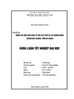 Đánh giá hiệu quả kinh tế của cây ngô tại xã Quang Minh, huyện Bắc Quang, tỉnh Hà Giang.