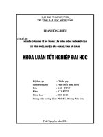 Nghiên cứu kinh tế hộ trong xây dựng nông thôn mới của xã Vĩnh Phúc, huyện Bắc Quang, tỉnh Hà Giang.