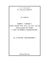 Nghiên cứu sinh khối và khả năng hấp thụ C02 của rừng Vầu đắng (Indossa angustata MC. Culure) tại huyện Định Hóa, tỉnh Thái Nguyên