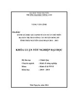 Đánh giá hiệu quả kinh tế sản xuất chè trên địa bàn huyện Đồng Hỷ thành phố Thái Nguyên.
