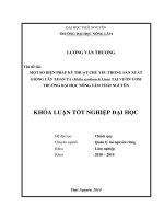 Một số biện pháp kỹ thuật chủ yếu trong sản xuất giống cây Xoan ta (Melia azedarach) tại vườn ươm trường Đại học Nông Lâm Thái Nguyên.