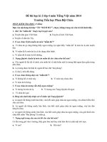 Đề thi học kì 2 lớp 4 môn Tiếng Việt năm 2014 Trường Tiểu học Phan Bội Châu