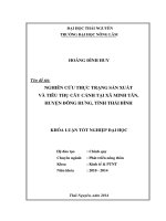 Nghiên cứu thực trạng sản xuất và tiêu thụ cây cảnh tại xã Minh Tân, huyện Đông Hưng, tỉnh Thái Bình.