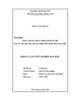 Thực trạng phát triển kinh tế hộ tại xã Tân Hương - huyện Phổ Yên - tỉnh Thái Nguyên.
