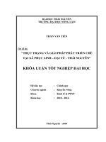 Thực trạng và giải pháp phát triển chè tại xã Phục Linh – Đại Từ - Thái Nguyên.
