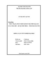 Thực trạng phát triển kinh tế hộ trên địa bàn xã Lương Phú – Huyện Phú Bình – Tỉnh Thái Nguyên.