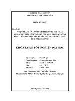 Thực trạng và một số giải pháp chủ yếu nhằm giải quyết việc làm và tăng thu nhập cho lao động nông thôn trên địa bàn xã Yên Đổ - huyện Phú Lương - tỉnh Thái Nguyên.