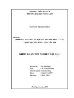 Đánh giá vai trò của đội ngũ khuyến nông cơ sở tại huyện Yên Bình - tỉnh Yên Bái.