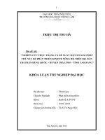 Nghiên cứu thực trạng và đề xuất một số giải pháp chủ yếu để phát triển kinh tế nông hộ trên địa bàn Thị trấn Hùng Quốc - huyện Trà Lĩnh - tỉnh Cao Bằng.