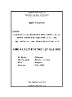 Nghiên cứu chế độ dinh dưỡng cho dưa vàng trồng trong điều kiện nhà có mái che tại trường Đại học Nông Lâm Thái Nguyên.