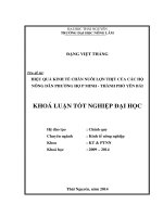 Hiệu quả kinh tế chăn nuôi lợn thịt của các hộ nông dân phường Hợp Minh - Thành phố Yên Bái.