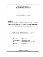 Thực trạng và giải pháp sử dụng đất nông nghiệp theo hướng hiệu quả và bền vững tại xã Đào Mỹ, huyện Lạng Giang, tỉnh Bắc Giang.