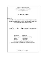 Nghiên cứu ảnh hưởng của thảm thực vật đến tính chất hóa học của môi trường đất xã Ký Phú - huyện Đại Từ - tỉnh Thái Nguyên.