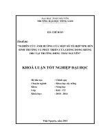 Nghiên cứu ảnh hưởng của một số tổ hợp NPK đến sinh trưởng và phát triển của giống dong riềng DR1 tại trường ĐHNL Thái Nguyên.