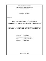 Điều tra và nghiên cứu đặc điểm sinh học của giống gà Cáy Củm tại Cao Bằng.