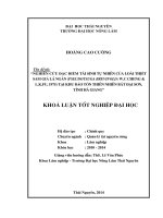 Nghiên cứu đặc điểm tái sinh tự nhiên của loài Thiết sam giả lá ngắn (Pseudotsuga brevifolia W.C Cheng & L.K.Fu, 1975) tại Khu bảo tồn thiên nhiên Bát Đại Sơn, tỉnh Hà Giang.