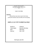 Đánh giá thực trạng công tác quản lý môi trường tại Thị trấn Lâm Bình - huyện Lâm Bình - tỉnh Tuyên Quang.