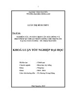 Nghiên cứu, tuyển chọn cây đầu dòng và biện pháp kĩ thuật nhân giống chè Trung du tại xã Tân Cương - TP Thái Nguyên.