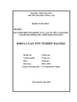 So sánh một số giống lúa cạn vụ mùa năm 2013 tại huyện Đồng Hỷ - tỉnh Thái Nguyên.