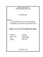 Đánh giá hiệu quả của cây dong riềng tại xã Đổng Xá - huyện Na Rì - tỉnh Bắc Kạn.