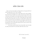 Ứng dụng của nghiệm Nhớt trong lý thuyết điều khiển tối ưu và trò chơi vi phân