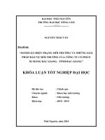 Đánh giá hiện trạng môi trường và những giải pháp bảo vệ môi trường của công ty cổ phần xi măng Bắc Giang - Tỉnh Bắc Giang.