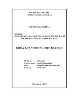Đánh giá hiệu quả kinh tế của giống lợn đen tại xã Bộc Bố, huyện Pác Nặm, tỉnh Bắc Kạn.