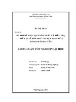Đánh giá hiệu quả sản xuất và tiêu thụ chè tại xã Sơn Phú - huyện Định Hóa - tỉnh Thái Nguyên.