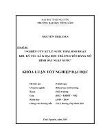Nghiên cứu xử lý nước thải sinh hoạt kí túc xá K Đại học Thái Nguyên bằng mô hình đất ngập nước.