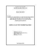 Nghiên cứu ảnh hưởng của một số chất kích thích sinh trưởng đến khả năng tái sinh chồi, nhân nhanh và ra rễ của cây Gừng Núi Đá (Zingiber purpureum Roscoe).