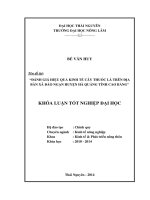 Đánh giá hiệu quả kinh tế cây thuốc lá trên địa bàn xã Đào Ngạn, huyện Hà Quảng, tỉnh Cao Bằng.