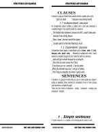 SENTENCES  AND GRAMMAR