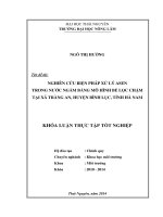 Nghiên cứu biện pháp xử lý Asen trong nước ngầm bằng mô hình bể lọc chậm tại xã Tràng An, huyện Bình Lục, tỉnh Hà Nam.