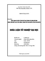 Thực trạng và một số thúc đẩy quá trình xây dựng mô hình nông thôn mới tại xã Tân Cương, thành phố Thái Nguyên, tỉnh Thái Nguyên.