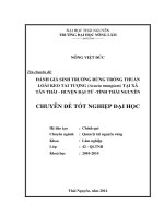 Đánh giá sinh trưởng rừng trồng thuần loài Keo tai tượng (Acacia mangium) tại xã Tân Thái, huyện Đại Từ, tỉnh Thái Nguyên.