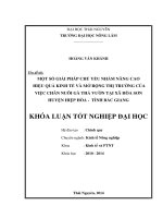 Một số giải pháp chủ yếu nhằm nâng cao hiệu quả kinh tế và mở rộng thị trường của việc chăn nuôi gà thả vườn tại xã Hòa Sơn - huyện Hiệp Hòa - tỉnh Bắc Giang.