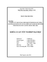 Nghiên cứu một số đặc điểm dịch tễ bệnh do giun tròn Oesophagostomum spp. gây ra trên lợn tại huyện Phú Bình, tỉnh Thái Nguyên và dùng thuốc điều trị.