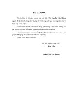 Một số phương pháp giải bài toán đặt không chỉnh