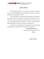 Tìm hiểu cốt truyện phiêu lưu trong tiểu thuyết Những cuộc phiêu lưu của Hukle Berry Finn (Theo quan niệm về cốt truyện của IU.M.LOTMAN)