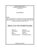 Điều tra diễn biến và xác định tác nhân gây bệnh thối rễ trên một số giống cao lương ngọt có triển vọng nhập nội từ Nhật Bản trồng tại Thái Nguyên.